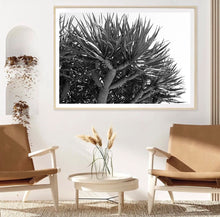 Load image into Gallery viewer, Dragon tree Black and White print - White border recommended
