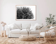 Load image into Gallery viewer, Dragon tree Black and White print - White border recommended
