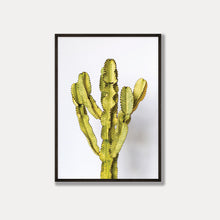 Load image into Gallery viewer, The Ammak Cactus Photo Art Print
