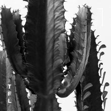 Load image into Gallery viewer, Cowboy Cactus  - Black &amp; White Photo Art Print
