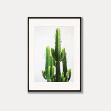 Load image into Gallery viewer, Cowboy Cactus Photo Art Print
