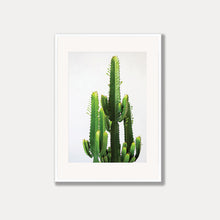 Load image into Gallery viewer, Cowboy Cactus Photo Art Print
