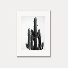 Load image into Gallery viewer, Cowboy Cactus  - Black &amp; White Photo Art Print
