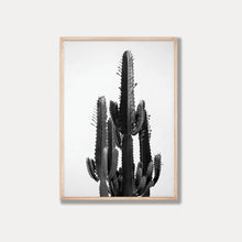 Load image into Gallery viewer, Cowboy Cactus  - Black &amp; White Photo Art Print
