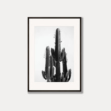 Load image into Gallery viewer, Cowboy Cactus  - Black &amp; White Photo Art Print
