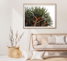 Load image into Gallery viewer, Dragon tree Colour print  - White border recommended
