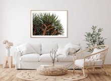 Load image into Gallery viewer, Dragon tree Colour print  - White border recommended
