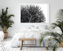 Load image into Gallery viewer, Dragon tree Black and White print - White border recommended
