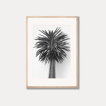 Load image into Gallery viewer, Madagascar Tree - Black &amp; White Photo Art Print
