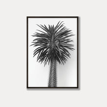 Load image into Gallery viewer, Madagascar Tree - Black &amp; White Photo Art Print
