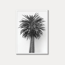 Load image into Gallery viewer, Madagascar Tree - Black &amp; White Photo Art Print
