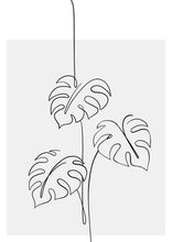 Load image into Gallery viewer, Monstera Minimal
