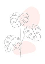 Load image into Gallery viewer, Monstera Pink
