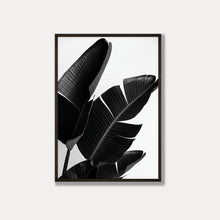 Load image into Gallery viewer, Strelitzia Palm Birds of Paradise - Black &amp; White Photo Art Print
