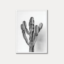 Load image into Gallery viewer, The Ammak Cactus  - Black &amp; White Photo Art Print
