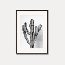 Load image into Gallery viewer, The Ammak Cactus  - Black &amp; White Photo Art Print
