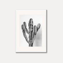 Load image into Gallery viewer, The Ammak Cactus  - Black &amp; White Photo Art Print
