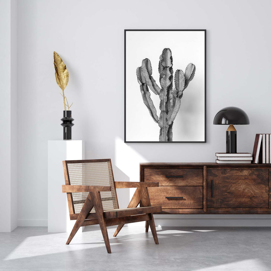 The Ammak Cactus  - Black & White Photo Art Print