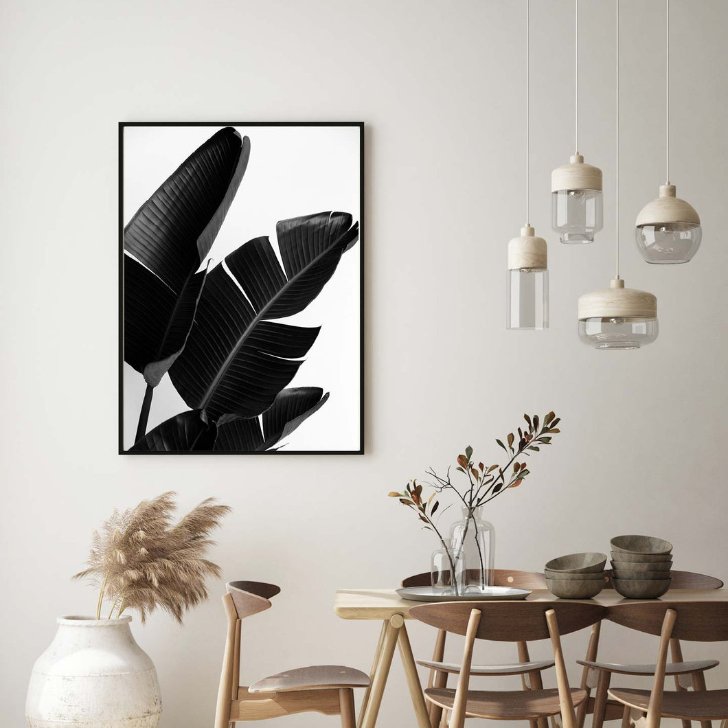 Strelitzia Palm Birds of Paradise - Black & White Photo Art Print