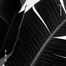 Load image into Gallery viewer, Strelitzia Palm Birds of Paradise - Black &amp; White Photo Art Print
