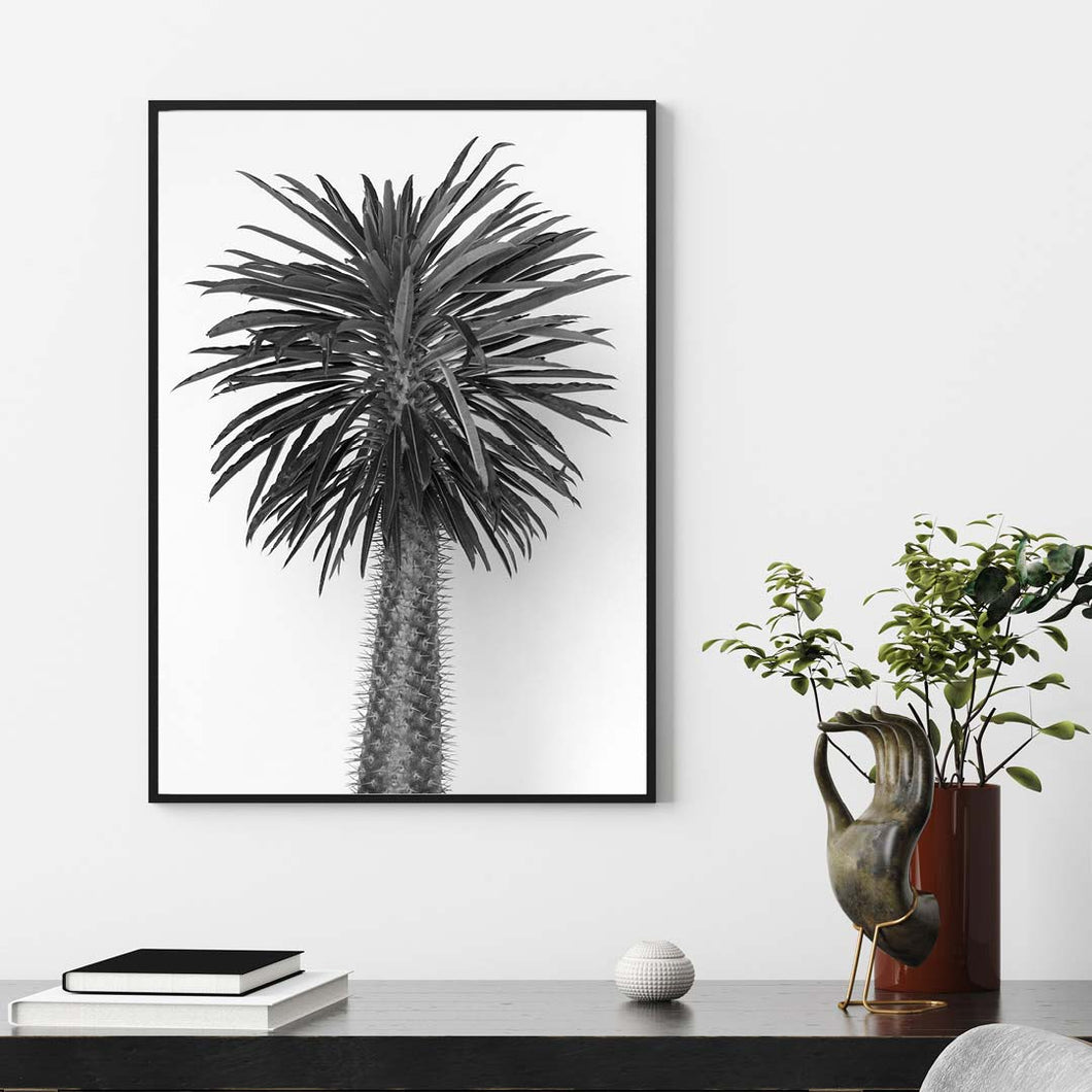 Madagascar Tree - Black & White Photo Art Print